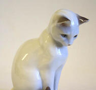 Katt